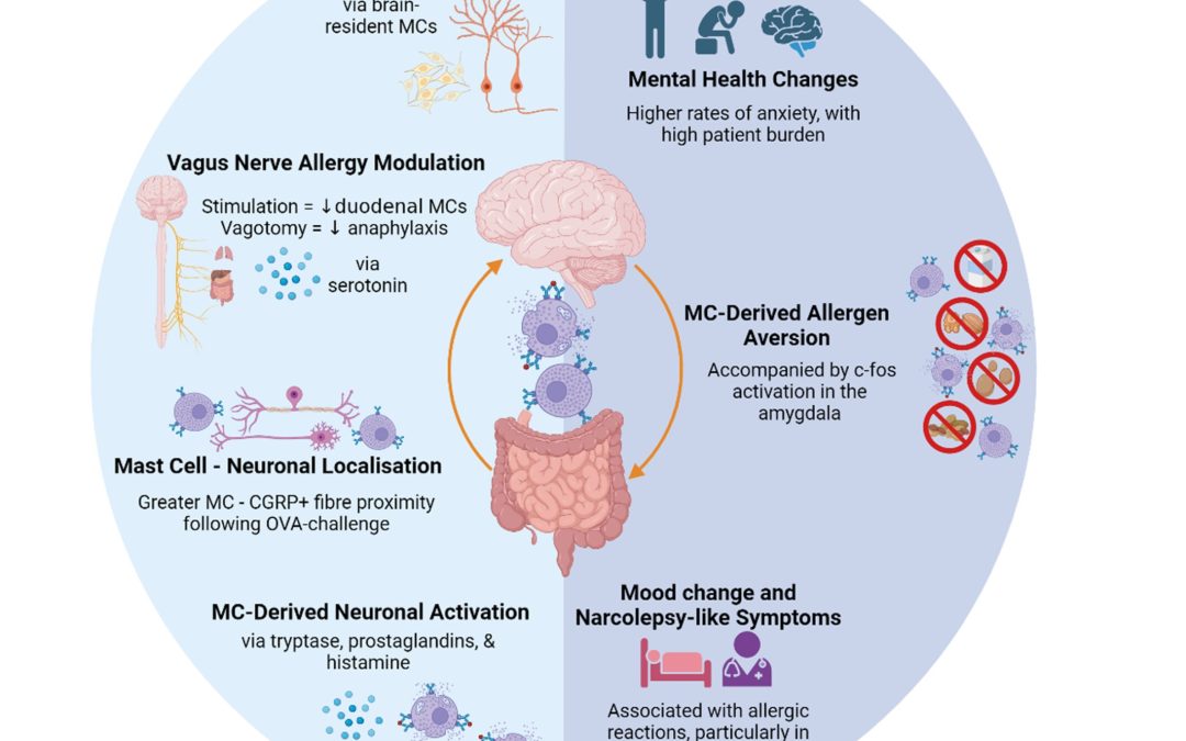 Newsletter Winter 2025